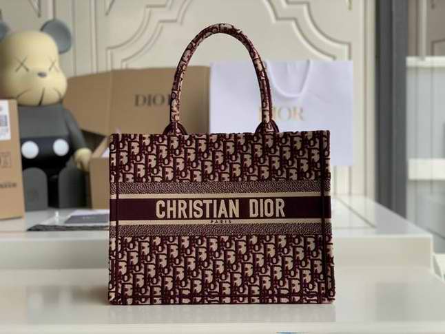  SMALL DIOR BOOK TOTE