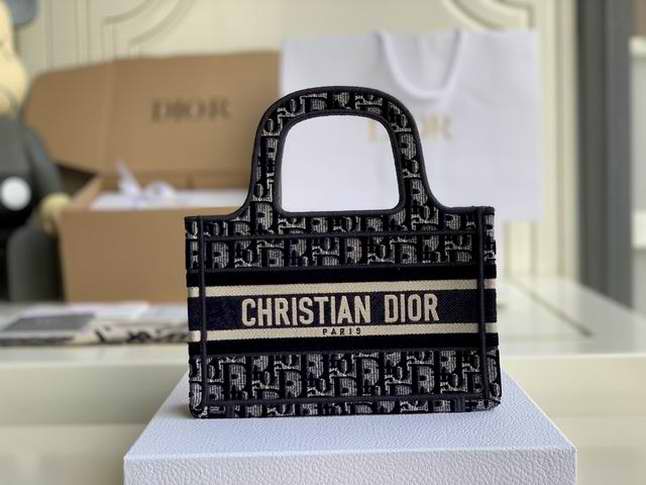  MINI DIOR BOOK TOTE