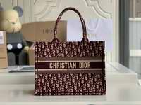 SMALL DIOR BOOK TOTE