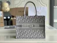 SMALL DIOR BOOK TOTE