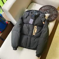 Men LV DownJacets009